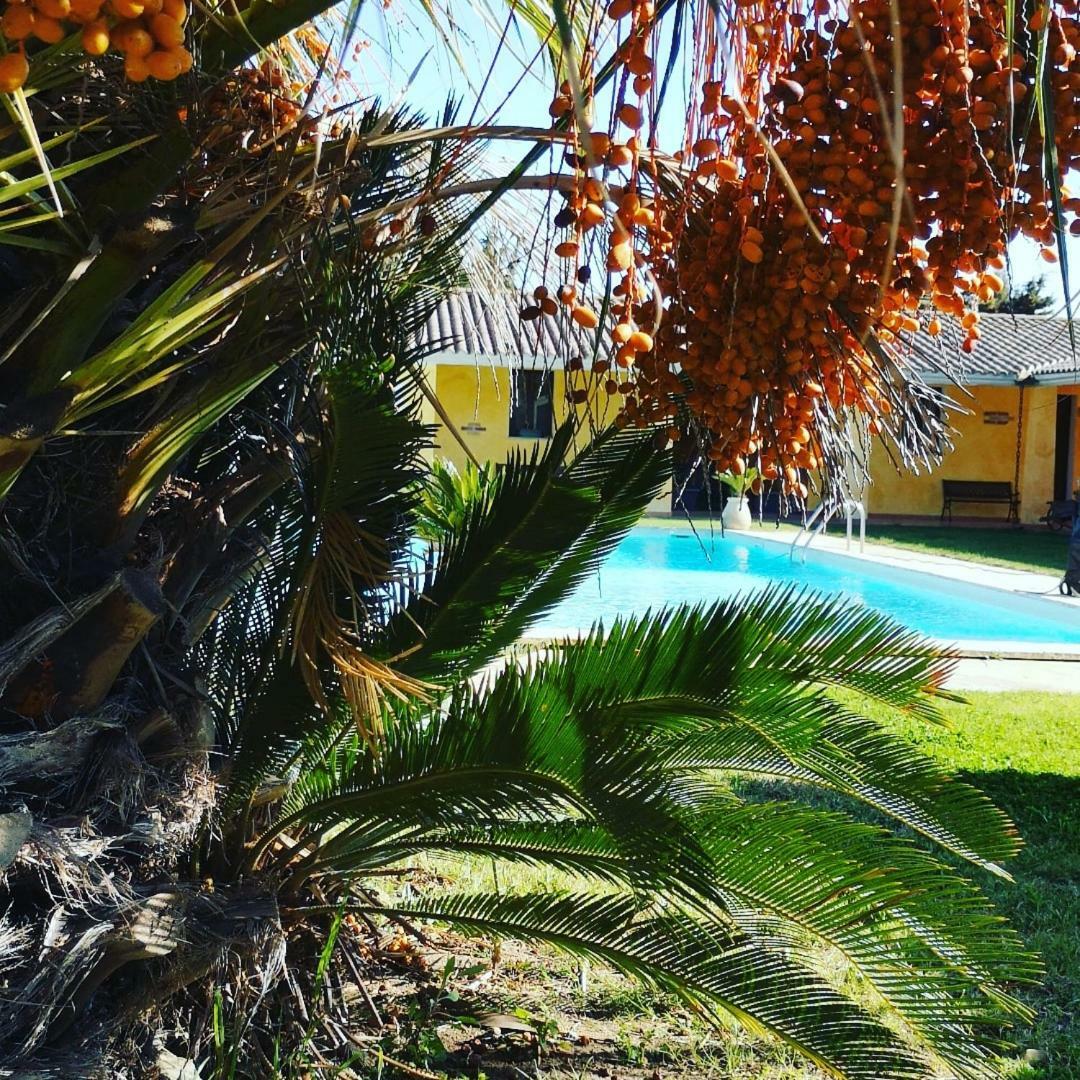 Villa La Luce del Sinis Riola Sardo Exterior foto
